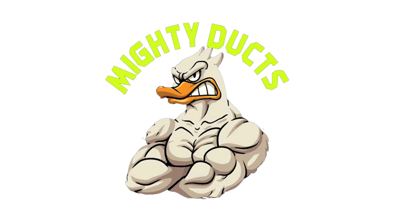 Mighty Ducts Logo color widget